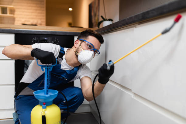 Best Flea Control Services  in Colonial Rk, PA