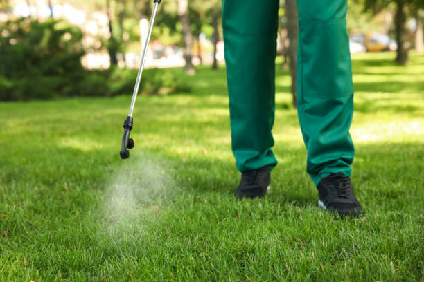 Trusted Colonial Park, PA Pest Control Experts