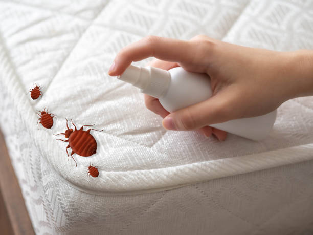 Best Pest Control for Homes  in Colonial Rk, PA