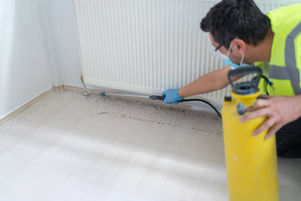 Best Ant Control Services  in Colonial Rk, PA