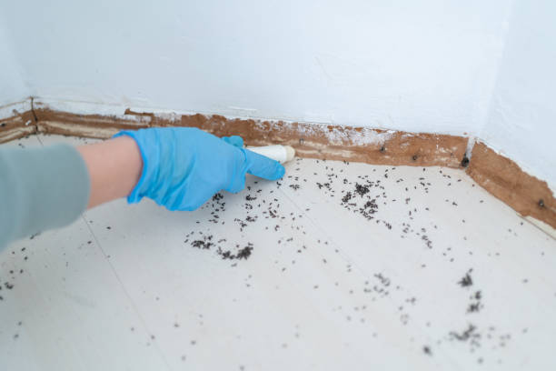 Best Affordable Pest Control Services  in Colonial Rk, PA