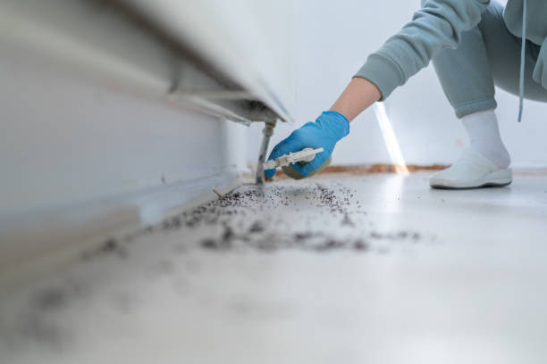 Best Pest Prevention Services  in Colonial Rk, PA