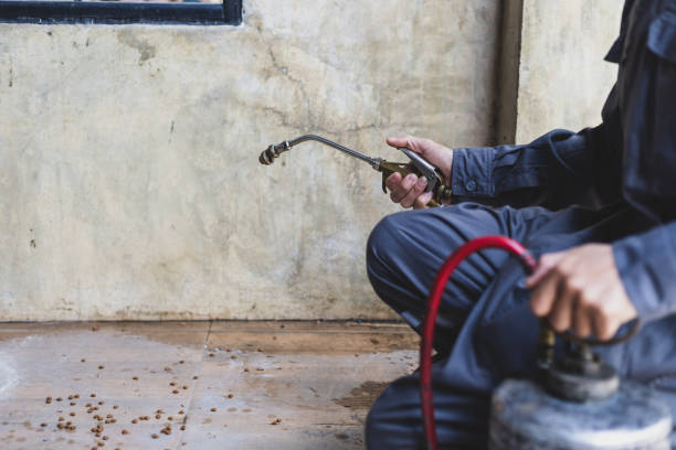 Best Local Pest Control Services  in Colonial Rk, PA