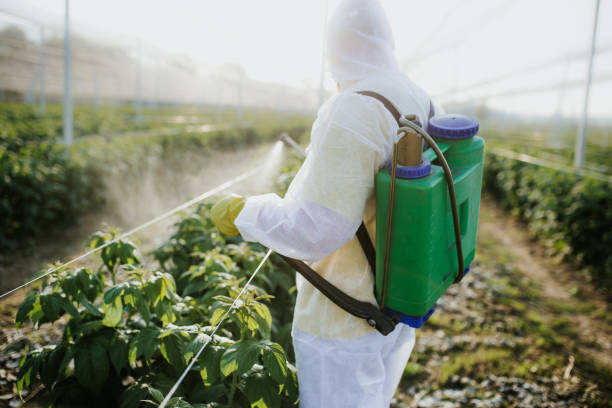 Best Affordable Pest Control Services  in Colonial Rk, PA